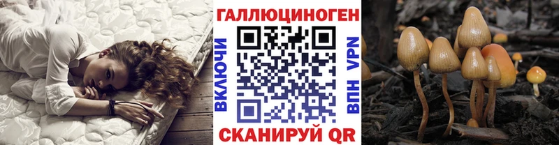 Псилоцибиновые грибы ЛСД  гидра как зайти  Тара 